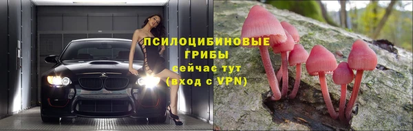 прущие грибы Карпинск