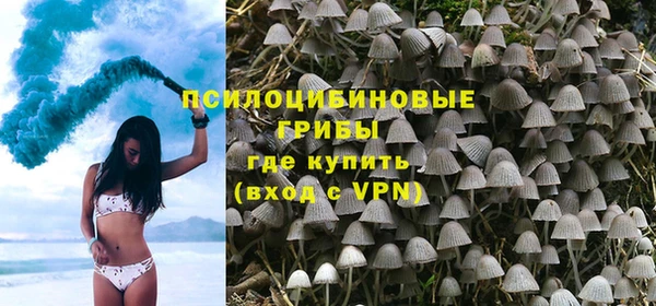 прущие грибы Карпинск