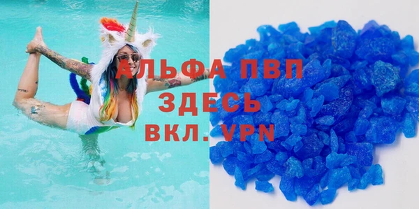 прущие грибы Карпинск